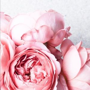 Meet your Posher, Rosa